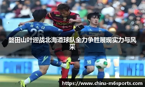 米乐体育平台
